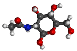 Acetil-glükózamin