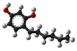 Hexil-rezorcin 