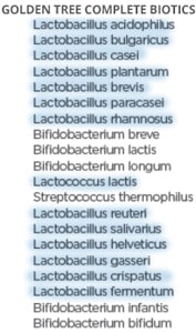Laktobacilusok